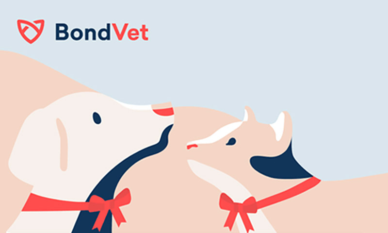 Bond vet tgm