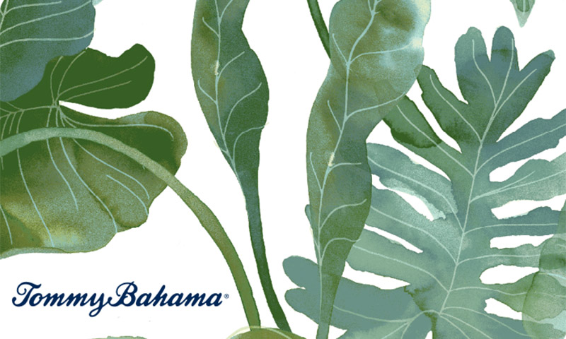 Tommy bahama